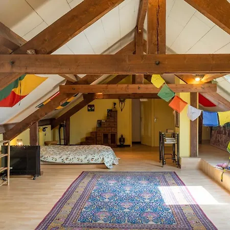 Charmant Appartement De 120M2 A Rodez דירה *